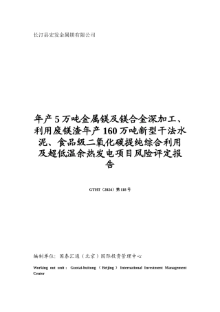 年产5万吨金属镁风险评定报告。