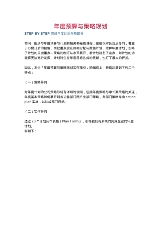 年度预算与策略规划