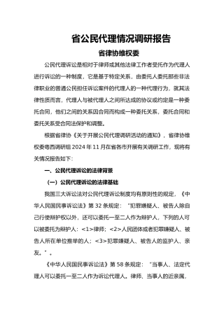 广东公民代理情况调研报告2