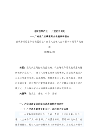广南县八宝镇蔬菜业发展调研报告范本