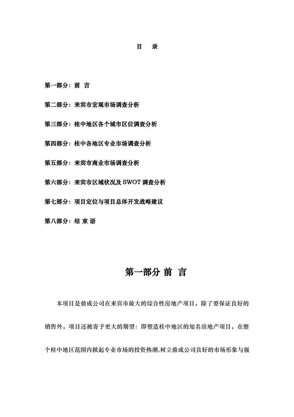 广西“桂中商贸城”前期策划报告_第2页
