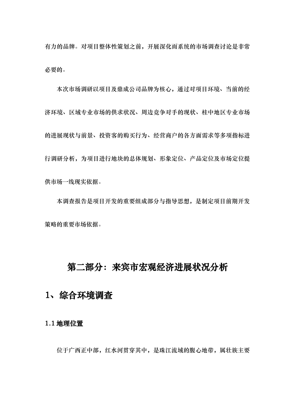 广西“桂中商贸城”前期策划报告_第3页