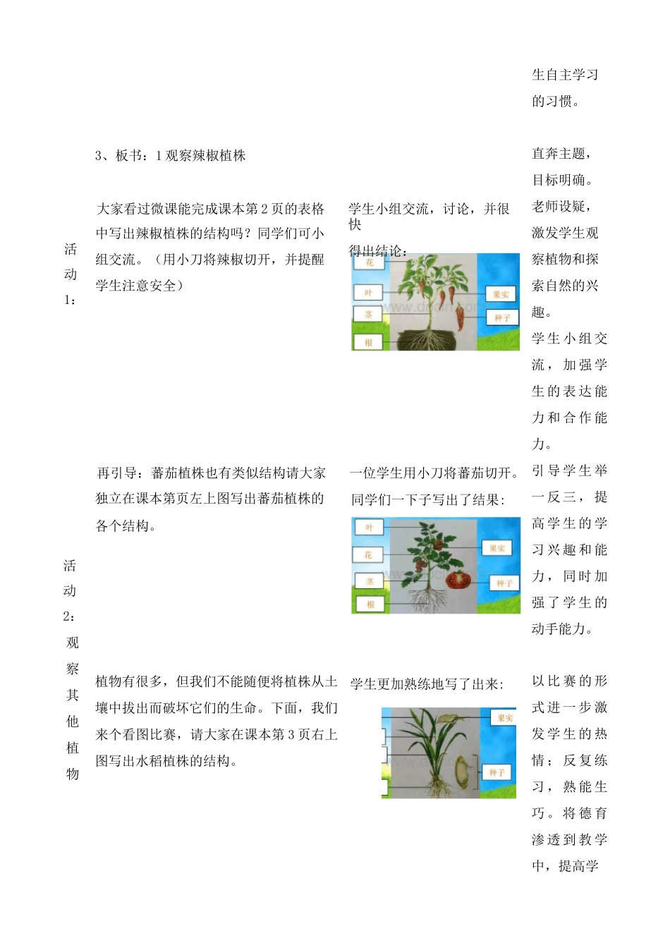 《观察辣椒植株》教学设计_第3页