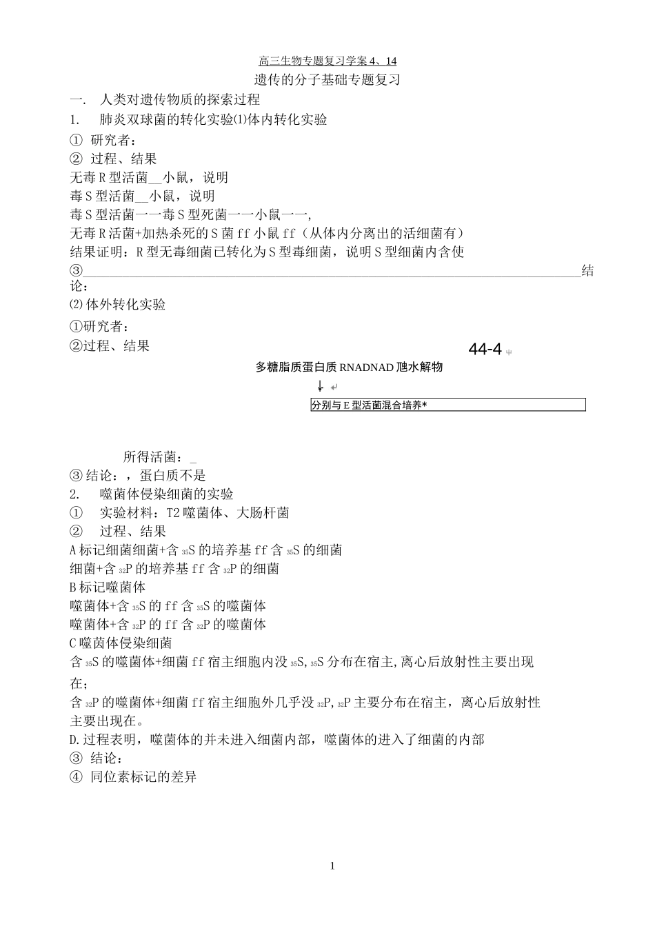遗传的分子基础专题复习_第1页