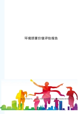 环境损害价值评估报告书