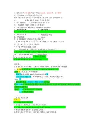 人体解剖学题库