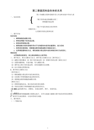 教案 减数分裂和受精作用