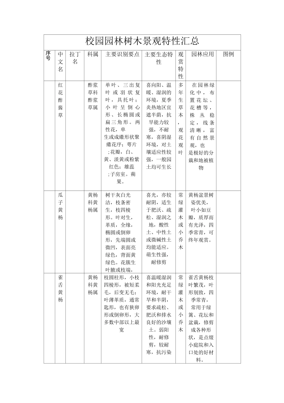 校园园林树木景观特性_第1页