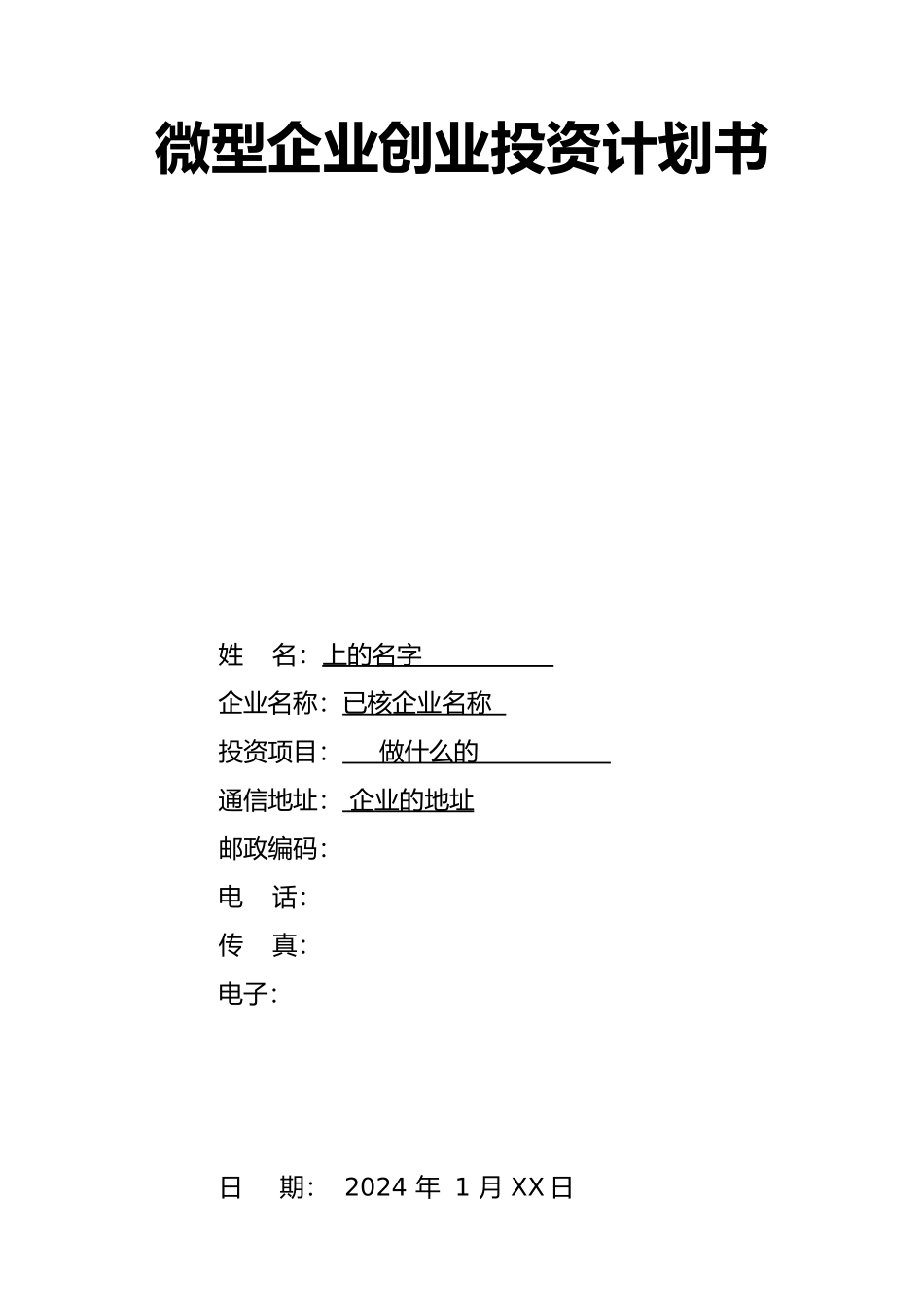 微企投资计划书样本_第1页