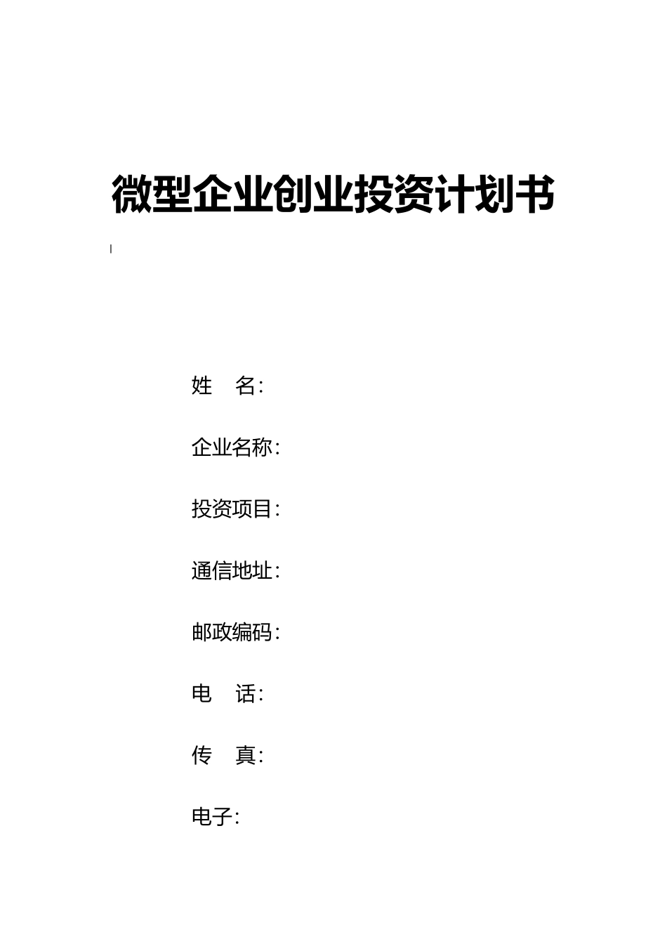 微型企业创业投资计划书[1]_第1页