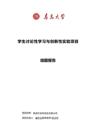 微波炉加热效应仿真分析报告