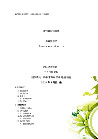 微视频定制营销网站参赛项目策划书