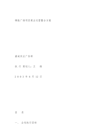 德州某广场项目商业运营整合方案