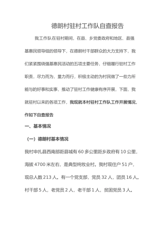 德朗驻村工作对自查报告