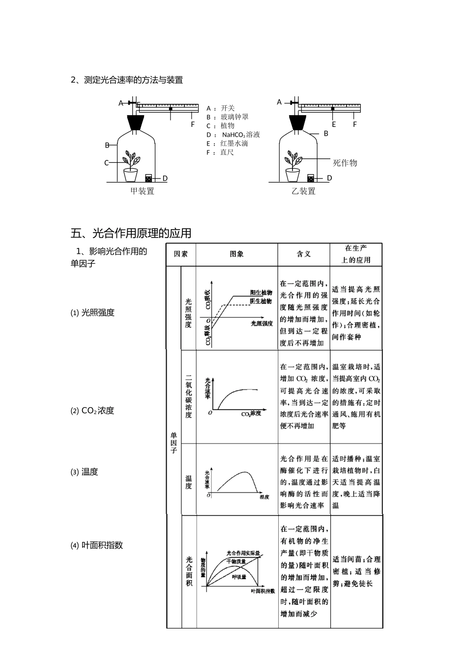 必学一光合作用复习提纲_第3页