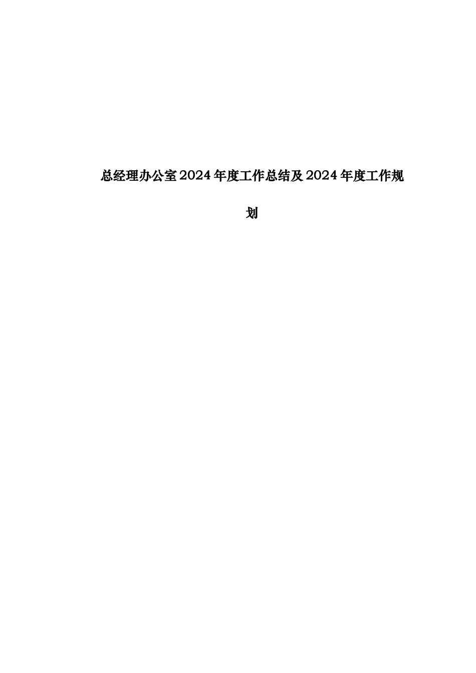 总经理办公室某年度工作计划总结与下年计划_第1页