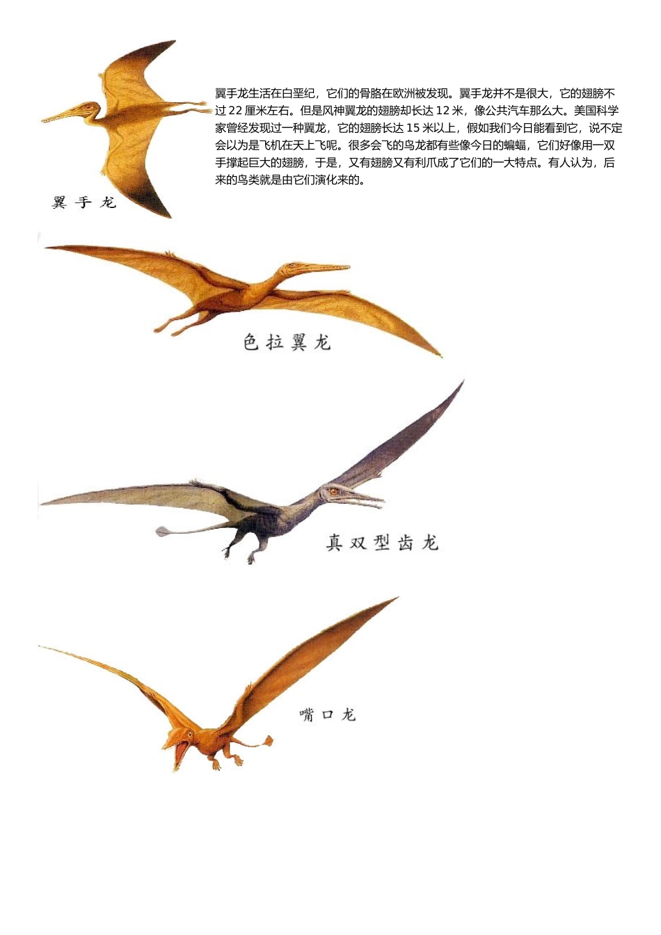 恐龙相关图片与资料全_第2页