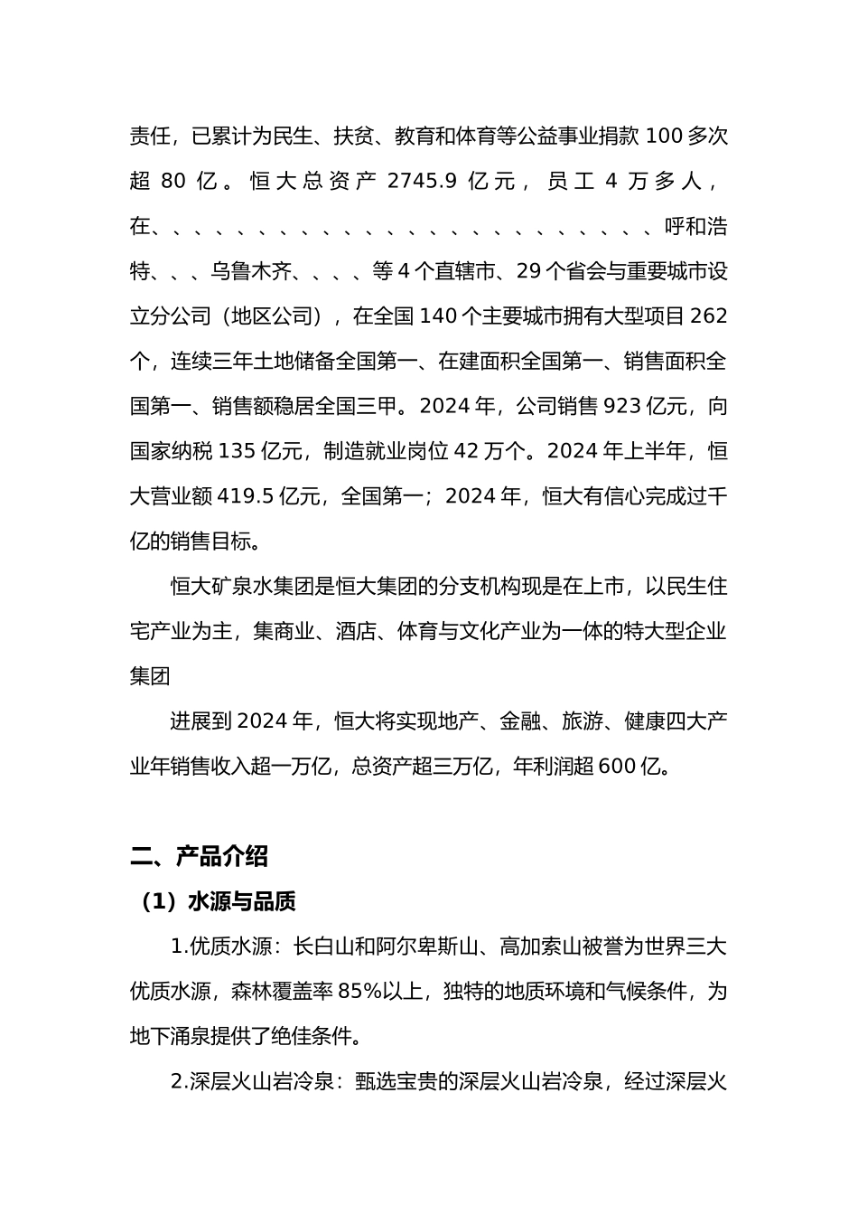 恒大冰泉营销计划_第3页