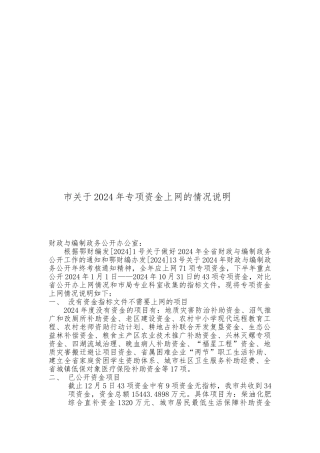 恩施市关于年度专项资金上网的情况说明