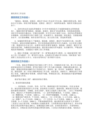 惠民项目工作总结