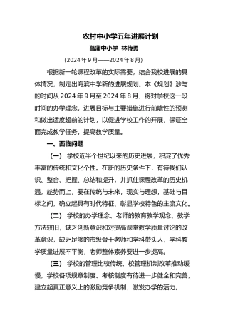 我国农村中小学五年发展计划