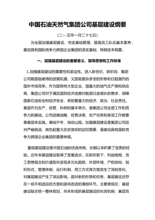我国石油天然气集团公司基层建设纲要