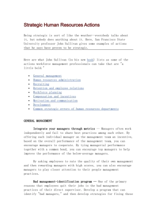 战略人力资源行动