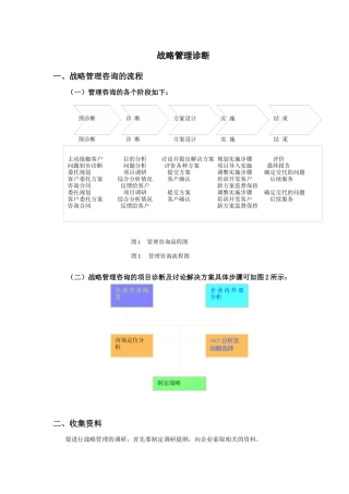 战略管理诊断报告