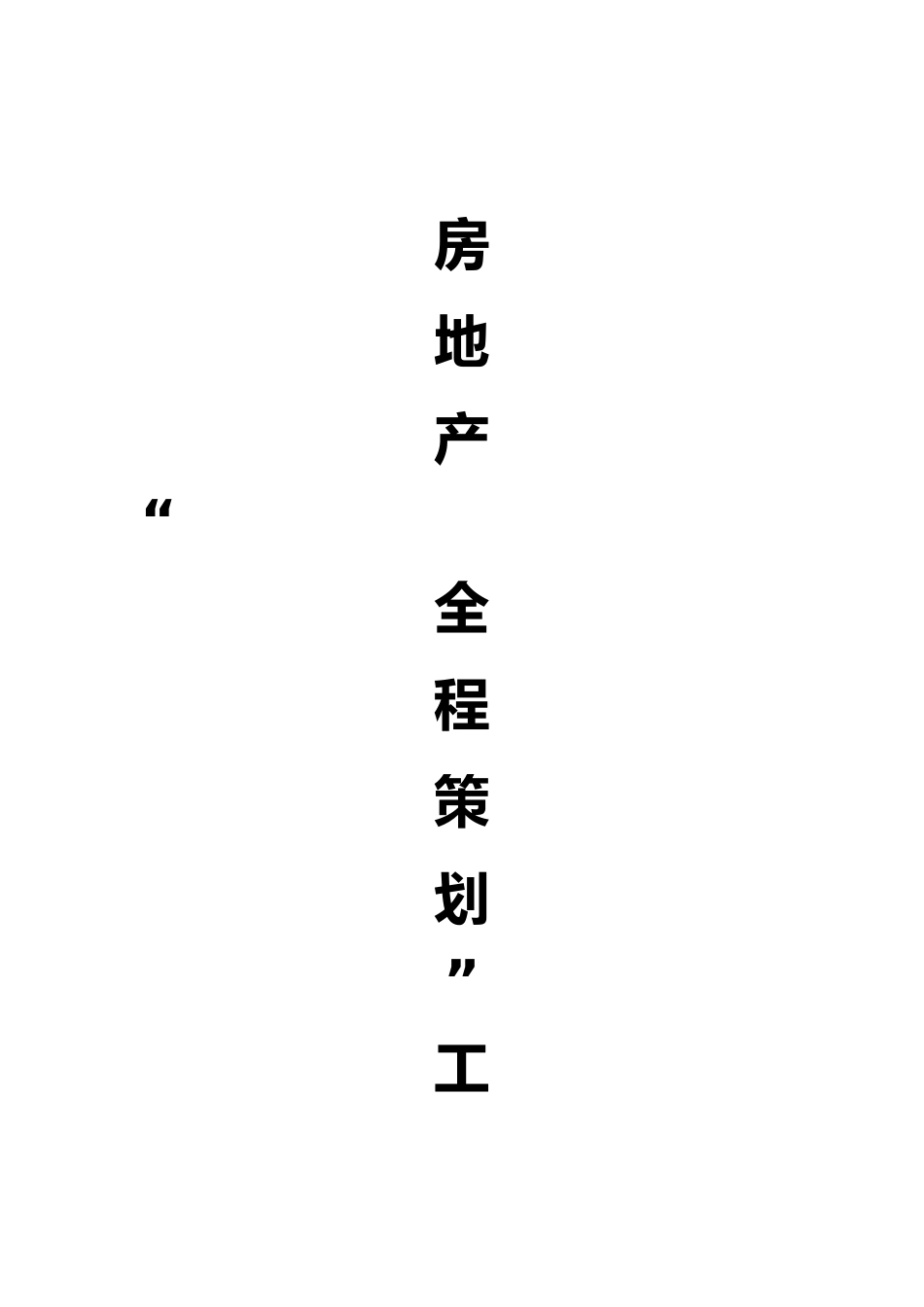 房地产全程策划工作报告书_第2页