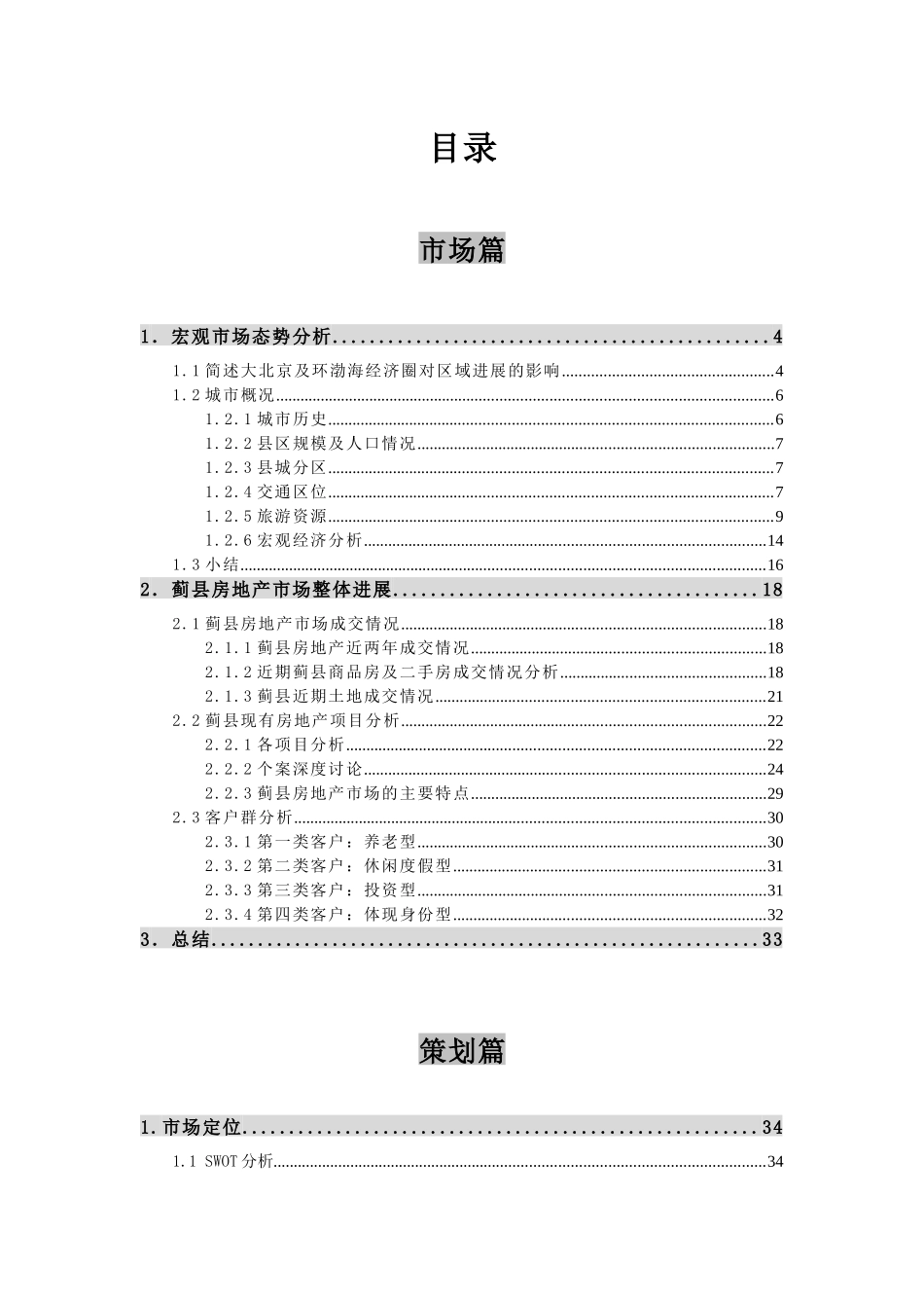 房地产大盘发展策略报告-副本_第1页