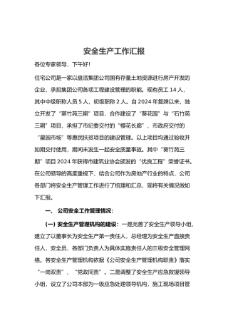 房地产开发公司年度安全生产工作汇报