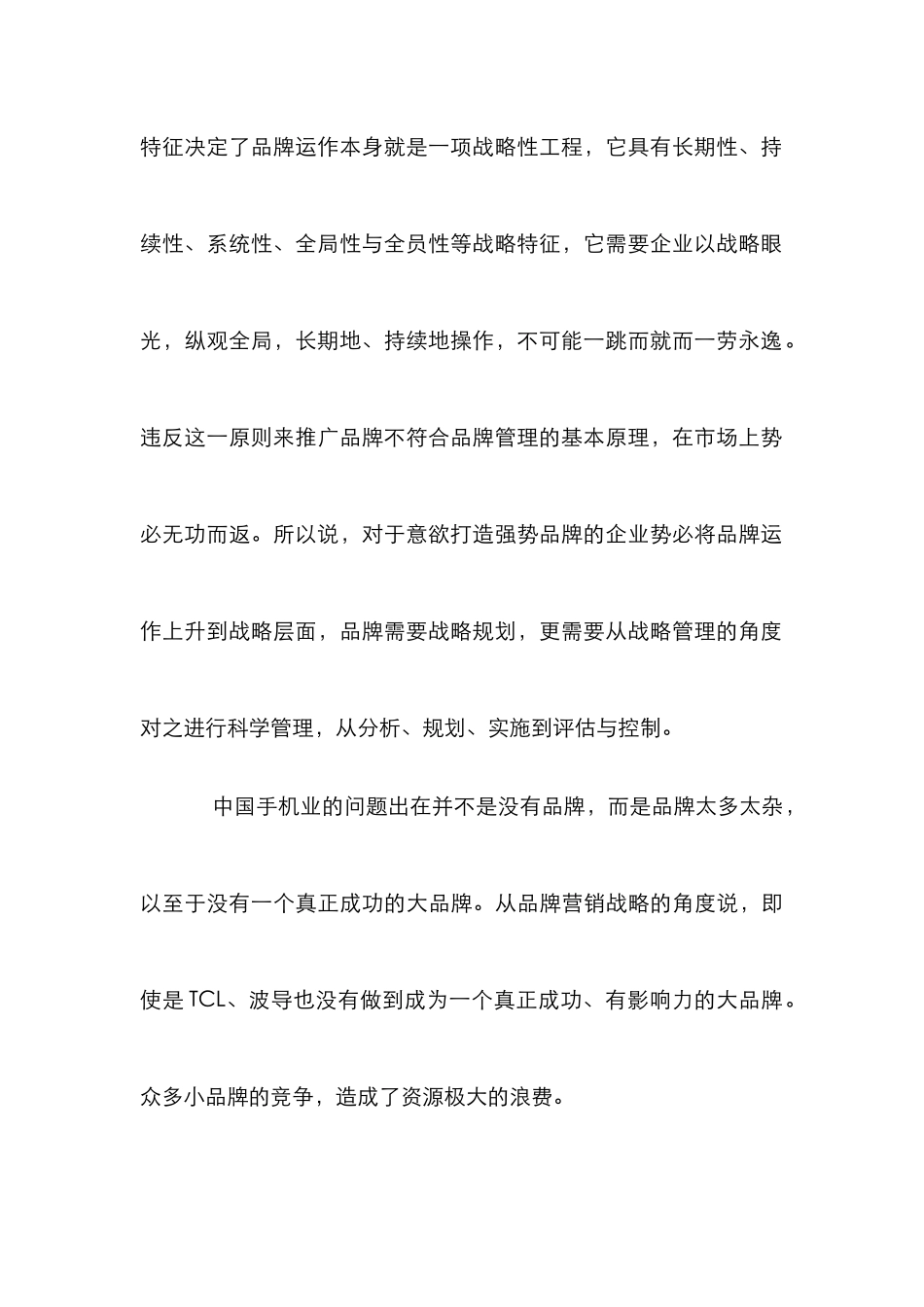 手机业品牌营销策略的建议_第3页