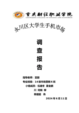 手机市场调研报告书