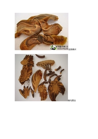 执业药师药一中药药材图片