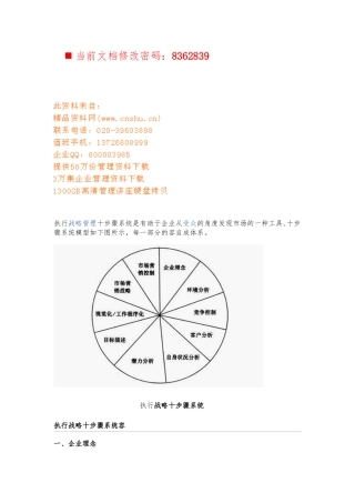 执行战略十步骤系统分析报告