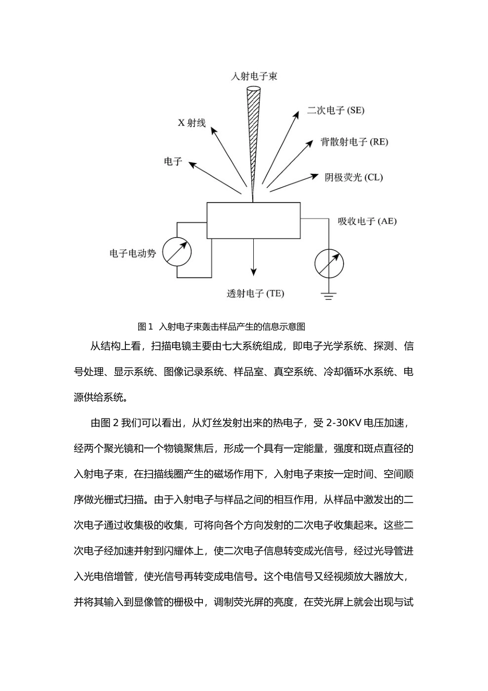 扫描电镜在材料表面形貌观察与成分分析中的应用_第2页