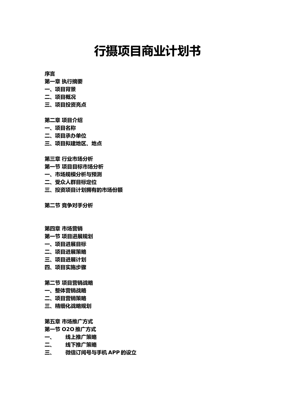 投资项目商业实施计划书_第1页