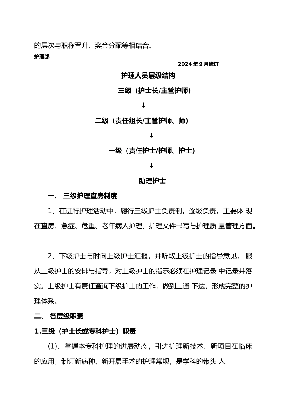 护士分层级管理制度_第2页