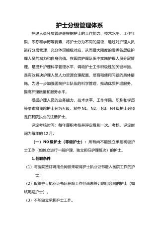 护士分级管理体系