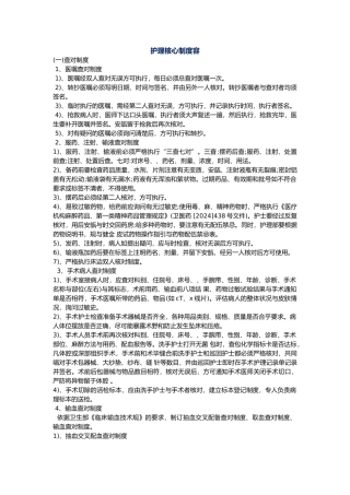 护理_核心制度内容
