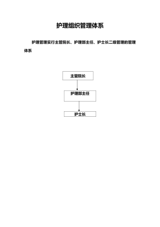 护理_组织管理体系
