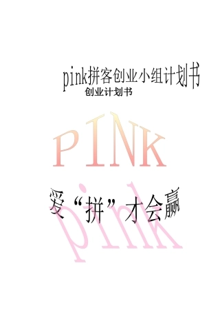 拼客公司计划书
