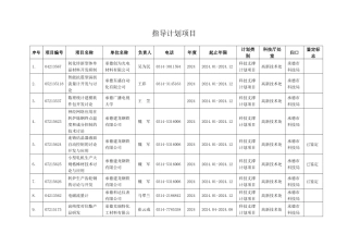 指导计划项目