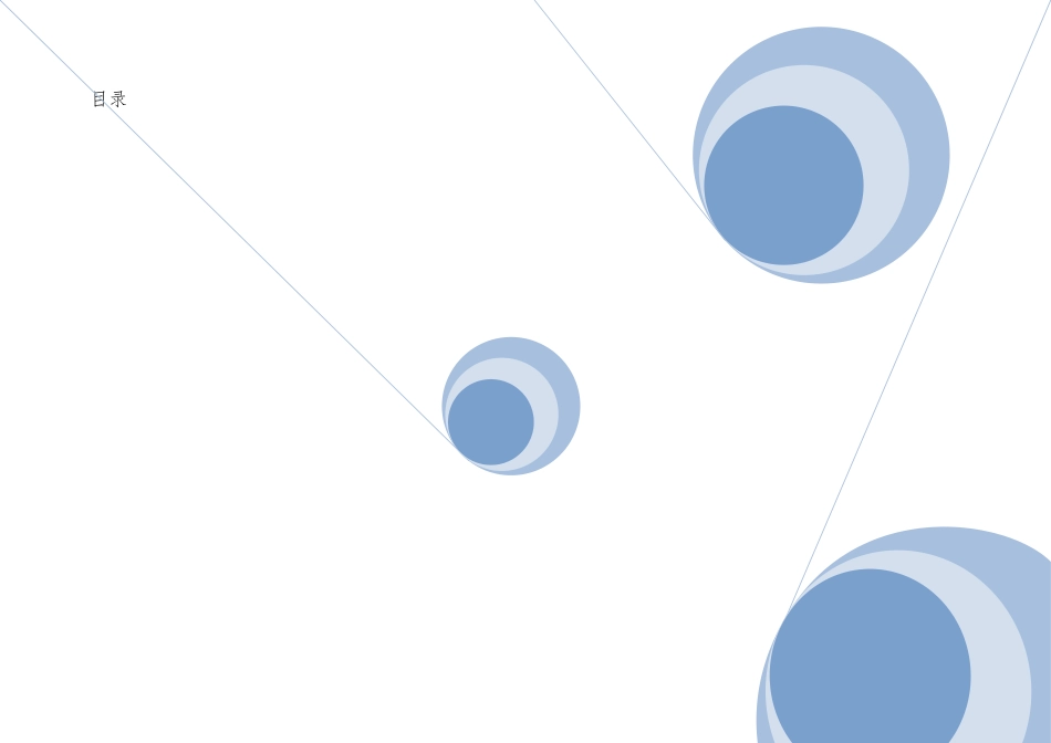 推广员系统设计经典说明书_第1页