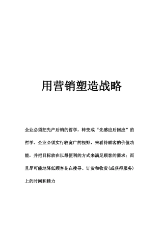摩托罗拉市场分销战略咨询报告