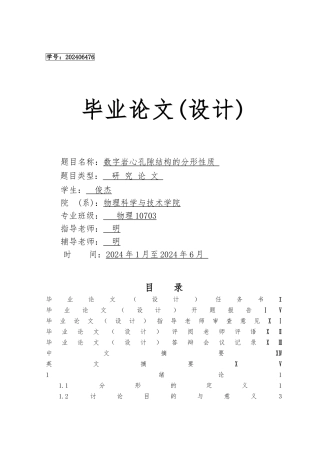 数字岩心孔隙结构的分形性质毕业论文