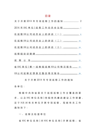 整套巡察工作范文