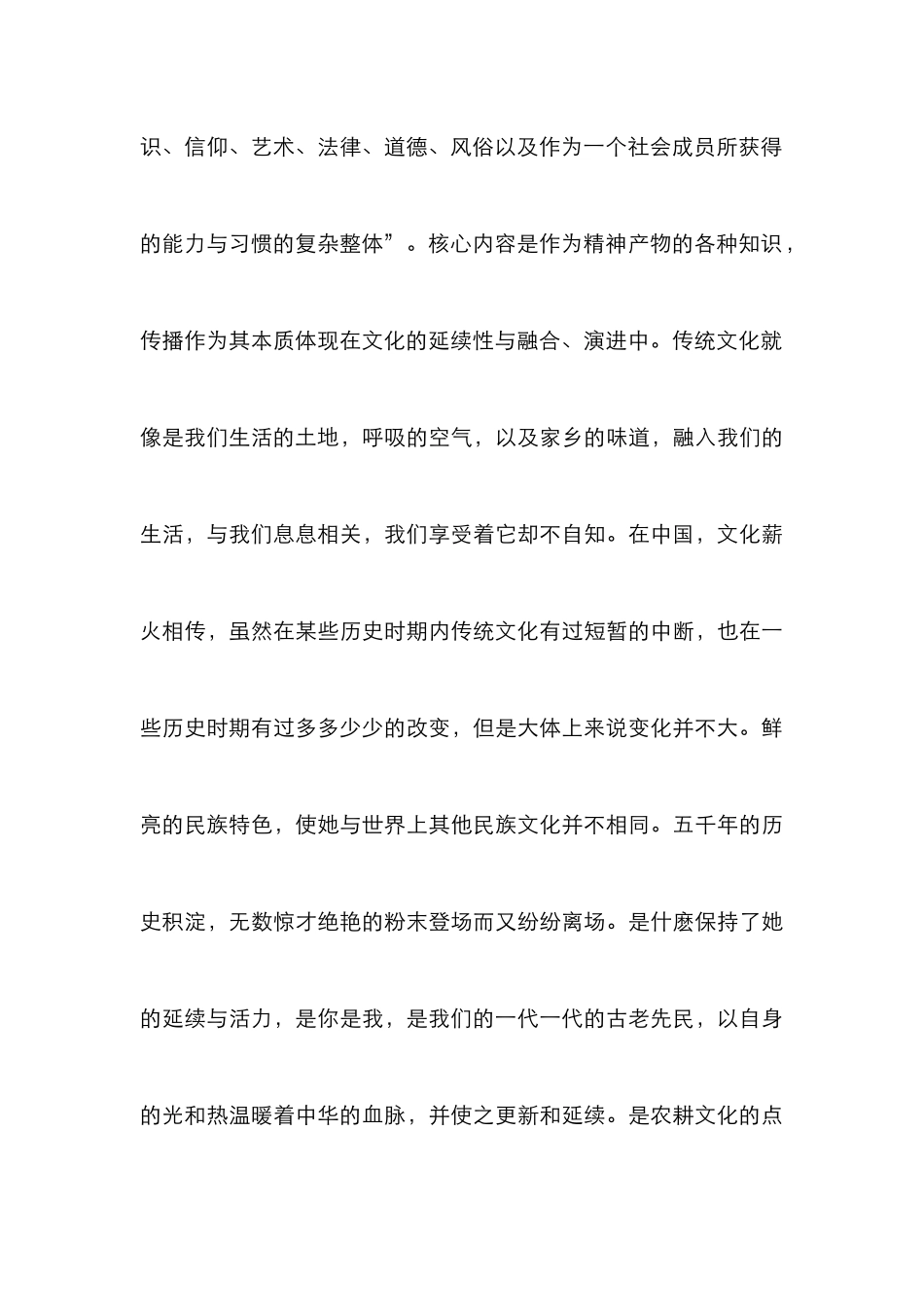斜杠青年谈传统文化艺术的融合及创新_第3页