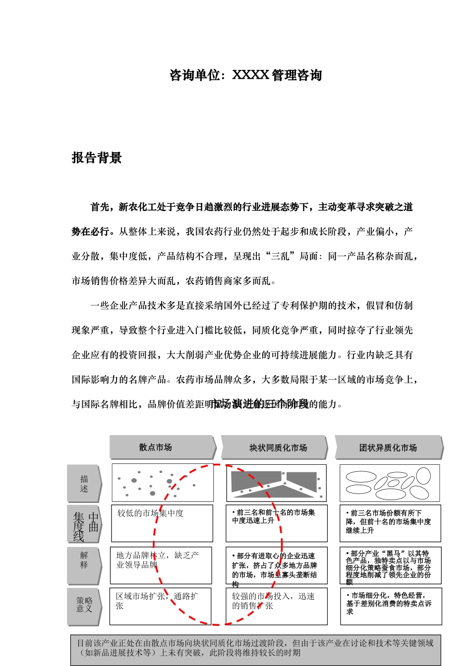新农化工营销管理诊断研究报告_第2页
