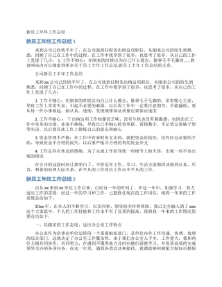 新员工年终工作总结